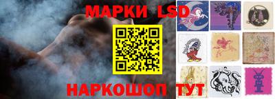 гидропоника Можга