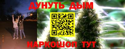 гидропоника Можга